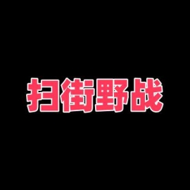 佛山扫街 可野战