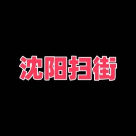沈阳扫街
