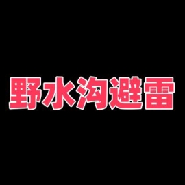 重庆野水沟避雷