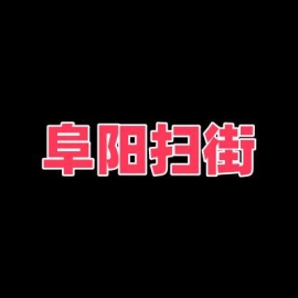 阜阳扫街