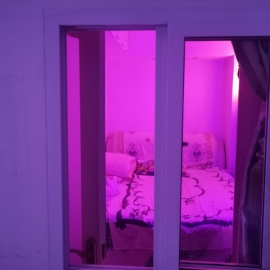 金贞子沈阳性价比