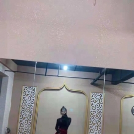 重庆艳舞老师